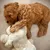 Produktbild 3 för Snuggle Puppy Hundleksak hund med hjärta guld