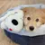 Produktbild 5 för Snuggle Puppy Hundleksak hund med hjärta guld
