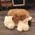 Produktbild 7 för Snuggle Puppy Hundleksak hund med hjärta guld