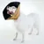 Produktbild 4 för All Four Paws Djurkrage Comfy Cone XL 30 cm brun