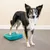 Produktbild 3 för FitPAWS Balansramp 35x35x7 cm blå