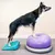 Produktbild 6 för FitPAWS Balansramp 35x35x7 cm blå