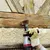 Produktbild 3 för wolfcraft Slipborste 80 mm gul