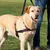 Produktbild 3 för TRIXIE Hundsele Lead'n'Walk Soft storlek S-M 45-70 cm svart 13055