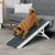 Produktbild 6 för TRIXIE Höjdjusterbar husdjursramp MDF 36x90 cm vit 39375 