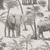 Produktbild 2 för DUTCH WALLCOVERINGS Tapet Elephant Grove kol