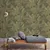 Produktbild 7 för DUTCH WALLCOVERINGS Tapet Joelle grön och guld