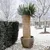 Produktbild 3 för Nature Växtskydd rishalm 1x1,5 m  6030105 