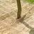 Produktbild 4 för Nature Växtskydd rishalm 1x1,5 m  6030105 