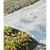 Produktbild 3 för Nature Täckduk 4x6 m 100µ genomskinlig