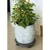 Produktbild 3 för Nature Blomvagn rund Ø30 cm antracit trä