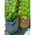 Produktbild 4 för Nature Potatissäck för odling 37 L beige