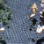 Produktbild 3 för Velda Skyddsnät 6 x 5 m för dammar