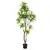 Produktbild 2 för Emerald Konstväxt Dracaena-träd 155 cm grön