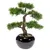 Produktbild 2 för Emerald Konstväxt Bonsaiträd grön 34 cm 420003