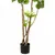 Produktbild 3 för Emerald Konstgjord växt Polyscias träd 135 cm 420292