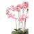 Produktbild 2 för Emerald Konstväxt orkidé med mossa rosa 75 cm 417662