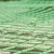 Produktbild 3 för ProPlus Lastnät 1,50x2,20 m med elastisk stropp 