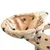 Produktbild 5 för Klösträd med klöspelare i sisal 150 cm tassavtryck beige