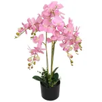 Konstväxt Orkidé med kruka 75 cm rosa