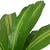 Produktbild 2 för Konstväxt Dracena med kruka 90 cm grön