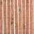 Produktbild 6 för Stängsel bark 1000x30 cm