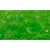 Produktbild 3 för Hönsnät galvaniserat med PVC-beläggning 25x0,5 m grön
