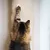 Produktbild 5 för Quapas! Klättersäck för katt sisal 180 cm