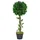 Konstväxt Lagerträd med kruka 70 cm grön
