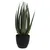 Produktbild 2 för ProGarden Konstväxt i kruka Aloe Vera 25x45 cm