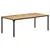 Produktbild 10 för Matbord 200x100x76 cm grovt mangoträ