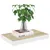 Produktbild 3 för Svävande vägghyllor 4 st ek och vit 40x23x3,8 cm MDF