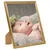 Produktbild 2 för Fotoramar 10 st för bord guld 10x15 cm MDF