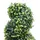 Konstväxt buxbomar spiral med kruka 100 cm grön