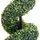 Konstväxt buxbomar spiral med kruka 89 cm grön
