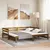 Produktbild 4 för Dagbädd honungsbrun massiv furu 2x(90x200) cm 