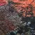 Produktbild 4 för Matta tvättbar lappmönster 190x300 cm flerfärgad halkfri