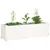 Produktbild 6 för Odlingslåda vit 100x31x31 cm massiv furu 