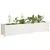 Produktbild 3 för Odlingslåda upphöjd 150x31x31 cm massiv furu vit 