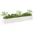 Produktbild 3 för Odlingslådor 2 st vit  200x31x31 cm massiv furu 