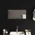 Produktbild 3 för Badrumsspegel LED 60x30 cm