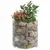 Produktbild 5 för Planteringsgabion upphöjd rund galvaniserat stål Ø50x50 cm