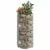 Produktbild 5 för Planteringsgabion upphöjd rund galvaniserat stål Ø50x100 cm