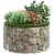 Produktbild 5 för Planteringsgabion upphöjd rund galvaniserat stål Ø100x50 cm