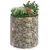 Produktbild 5 för Planteringsgabion upphöjd rund galvaniserat stål Ø100x100 cm