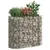 Produktbild 7 för Planteringsgabion galvaniserat järn 120x50x100 cm