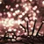 Produktbild 4 för Ljusslinga med 2000 LED cluster varmvit 17 m PVC
