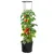 Produktbild 2 för Kruka för tomatplanta Ø39x150 cm polypropylen
