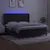 Produktbild 3 för Ramsäng med madrass & LED svart 180x200 cm sammet