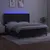 Produktbild 3 för Ramsäng med madrass & LED svart 160x200 cm sammet